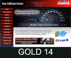 AutoWatch Gold 14