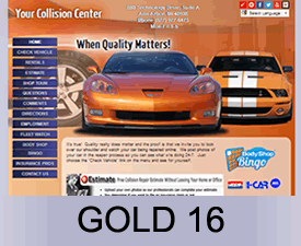 AutoWatch Gold 16